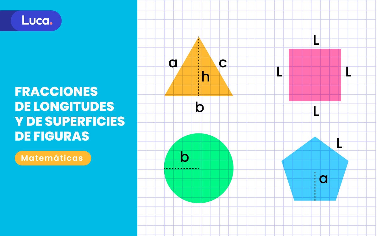 fracciones de longitudes y de superficies de figuras