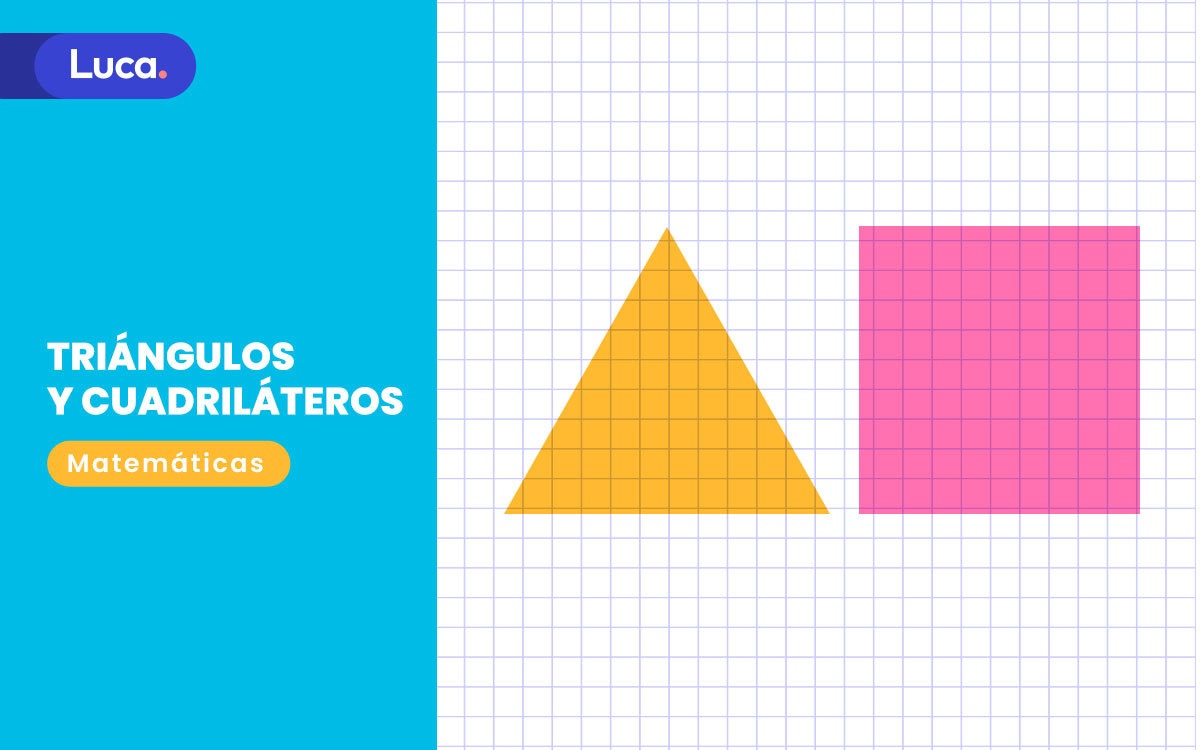 triángulos y cuadriláteros