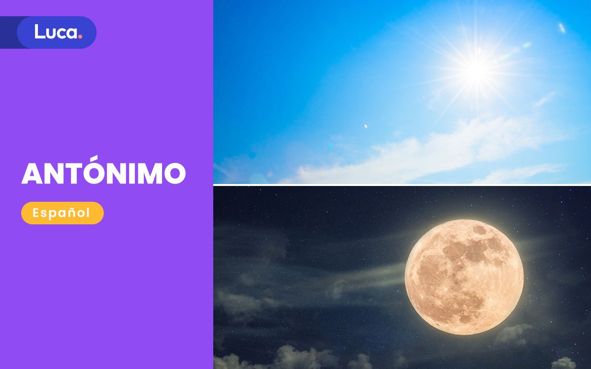 antónimo