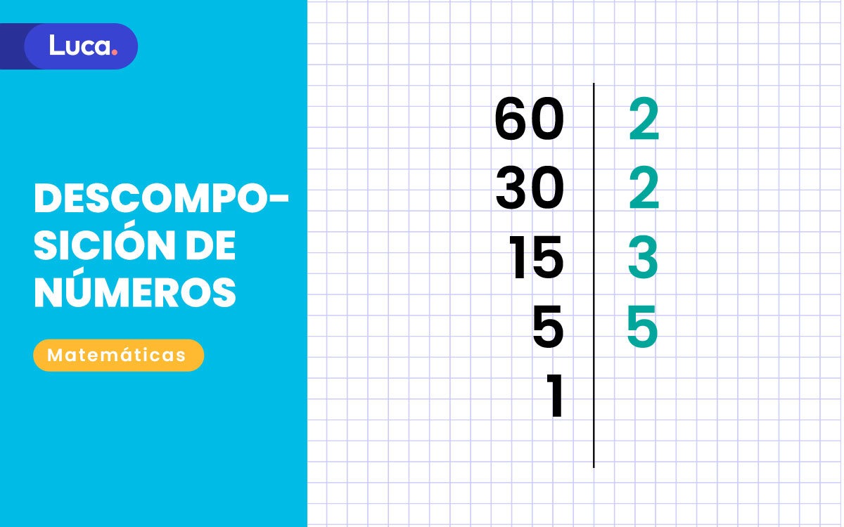 descomposición de números