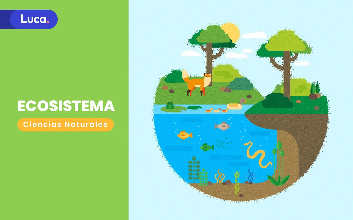 ecosistemas