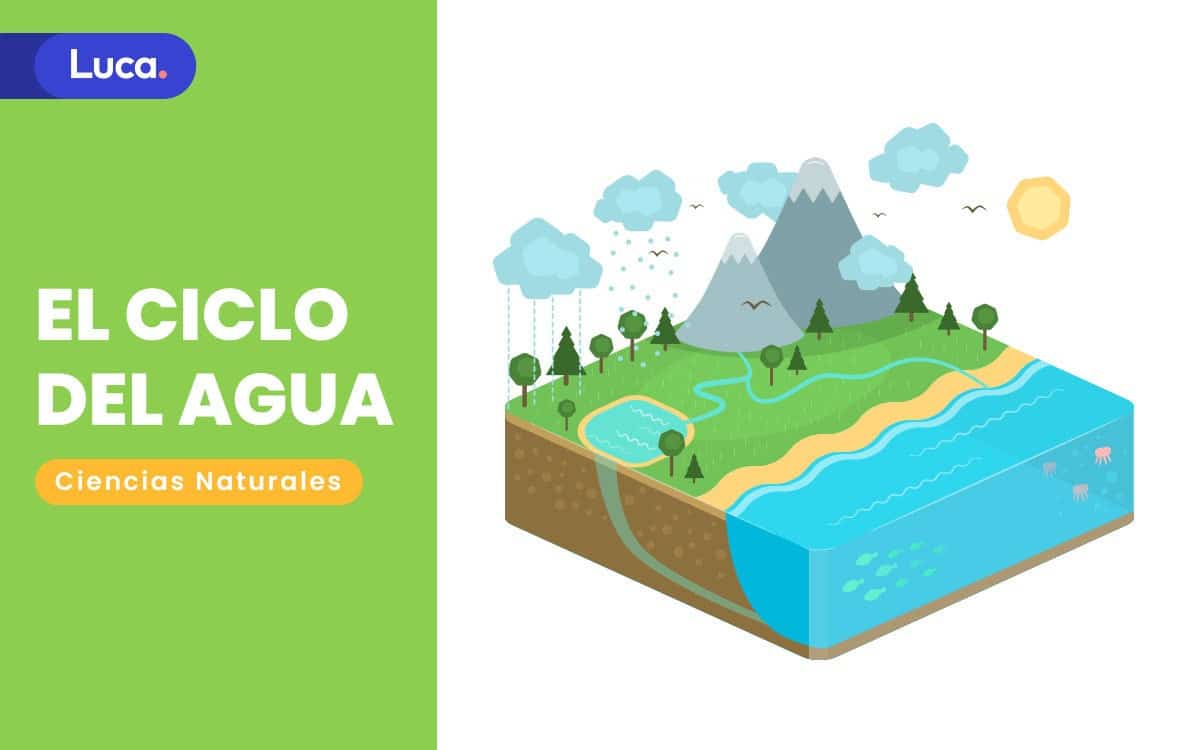 el ciclo del agua