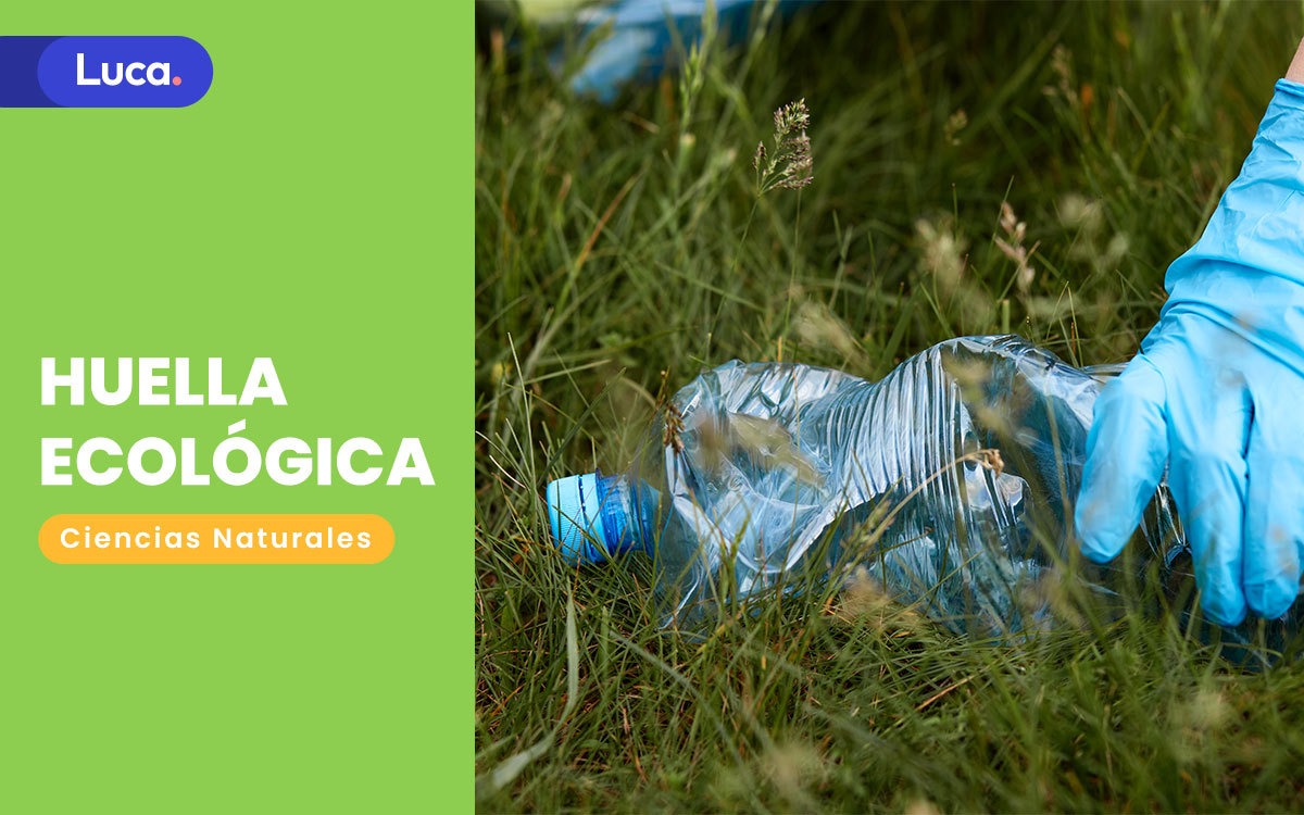 huella ecológica
